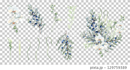 White flowers, greenery twigs and juniper in pastel tones watercolor clipart isolated. Set of coniferous branches and white orchids soft sage green hand drawn for nature label. Floral design packaging 129759389