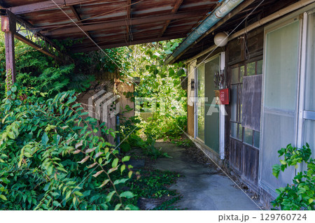 夏の緑に包まれた古民家と廃屋の路地 夏の緑に包まれた古民家と廃屋の路地 129760724