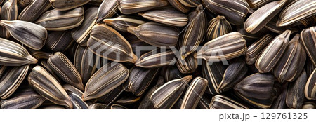 Close-up of Sunflower Seeds Textured Background Top View. Concept of Organic Nutrition, Natural Food Sources, Healthy Eating, and Agricultural Harvest. Banner 129761325