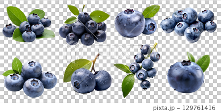 Blueberry Blueberries Bilberry Bilberries, many angles and view side top front sliced halved bunch cut isolated on transparent background cutout, PNG file. Mockup template for artwork graphic design Blueberry Blueberries Bilberry Bilberries, many angles and view side top front sliced halved bunch cut isolated on transparent background cutout, PNG file. Mockup template for artwork graphic design 129761416