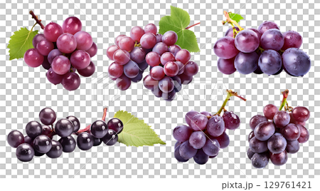 Red purple grapes grape, many angles and view side top front group bunch pile cut isolated on transparent background cutout, PNG file. Mockup template for artwork graphic design 129761421