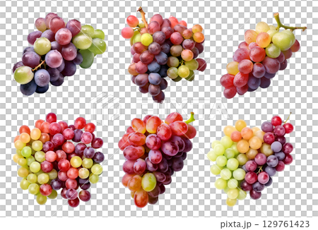 Green red purple mixed grapes grape, many angles and view side top front group bunch pile cut isolated on transparent background cutout, PNG file. Mockup template for artwork graphic design 129761423