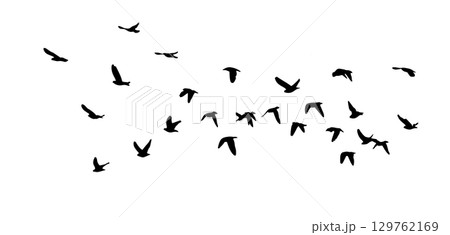 Flying birds silhouette flock. hand drawing. Not AI. Vector illustration 129762169