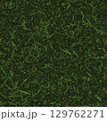 Camouflage green pattern with leaves, foliage, grass. 129762271
