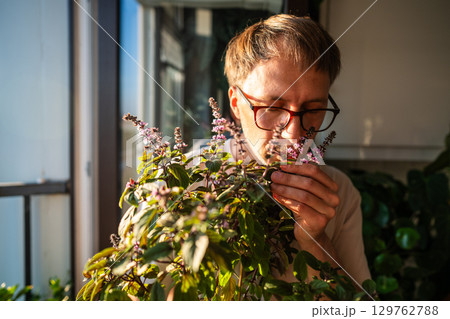 Man enjoying basil scent at home garden, herb growing of plant lover. Aroma appreciation of herbs Man enjoying basil scent at home garden, herb growing of plant lover. Aroma appreciation of herbs 129762788
