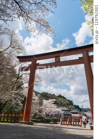 香取神宮の朱塗り大鳥居と桜 香取神宮の朱塗り大鳥居と桜 129762881