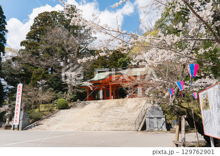 香取神宮の総門と桜 129762901