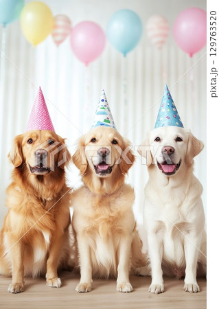 Three Golden Retrievers Wearing Party Hats Celebrating Birthday Occasion. 129763520