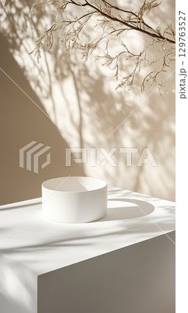 White Cylinder Bowl Display on Minimalist Platform with Branch Shadows. White Cylinder Bowl Display on Minimalist Platform with Branch Shadows. 129763527