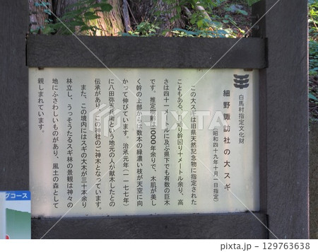 長野県　霜降宮細野諏訪神社　大杉の案内板　8月 129763638