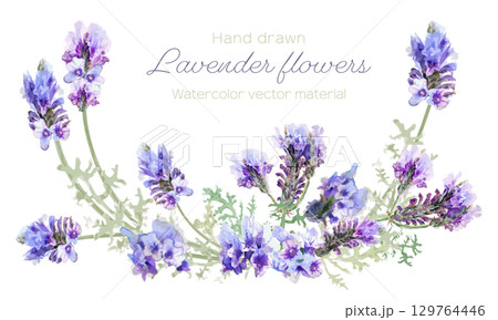 水彩で描いたラベンダーのフレーム 129764446
