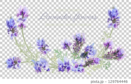 水彩で描いたラベンダーのフレーム 129764446