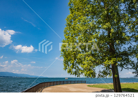 琵琶湖岸なぎさ公園夏景色 滋賀県大津市 琵琶湖岸なぎさ公園夏景色 滋賀県大津市 129764521
