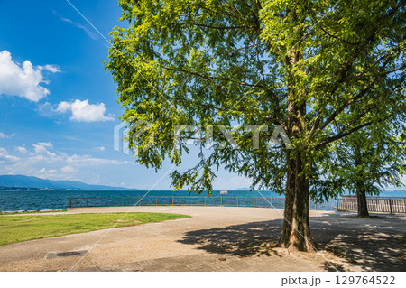 琵琶湖岸なぎさ公園夏景色　滋賀県大津市 129764522