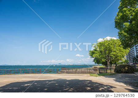 琵琶湖岸なぎさ公園夏景色 滋賀県大津市 琵琶湖岸なぎさ公園夏景色 滋賀県大津市 129764530