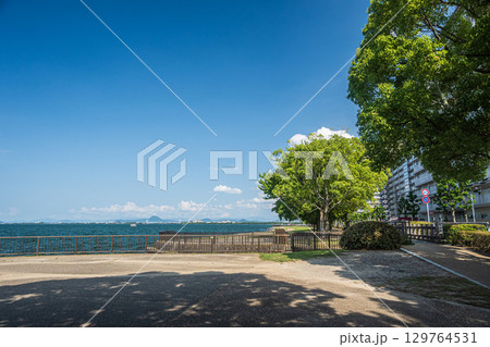 琵琶湖岸なぎさ公園夏景色　滋賀県大津市 129764531