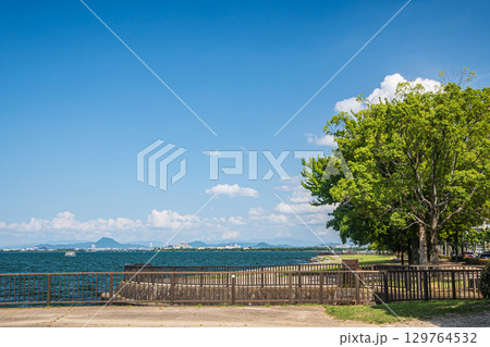 琵琶湖岸なぎさ公園夏景色 滋賀県大津市 琵琶湖岸なぎさ公園夏景色 滋賀県大津市 129764532