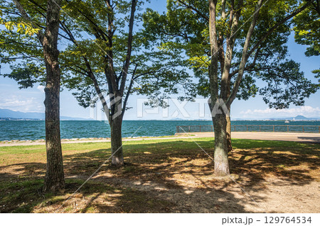 琵琶湖岸なぎさ公園夏景色 滋賀県大津市 琵琶湖岸なぎさ公園夏景色 滋賀県大津市 129764534