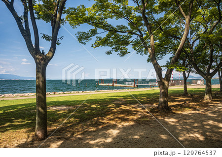 琵琶湖岸なぎさ公園夏景色 滋賀県大津市 琵琶湖岸なぎさ公園夏景色 滋賀県大津市 129764537