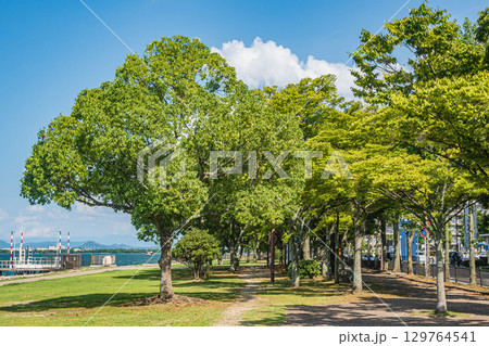 琵琶湖岸なぎさ公園夏景色 滋賀県大津市 琵琶湖岸なぎさ公園夏景色 滋賀県大津市 129764541