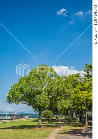 琵琶湖岸なぎさ公園夏景色　滋賀県大津市 129764543