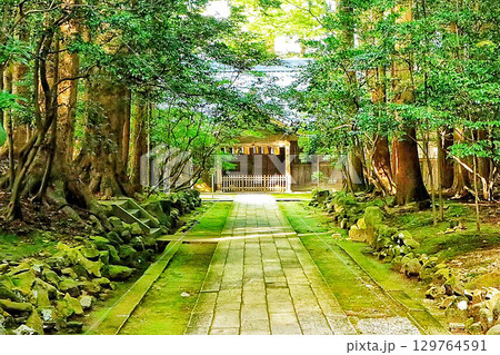 新緑に包まれた寺の参道 129764591