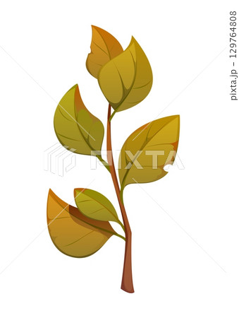 Autumn leaf, happy Thanksgiving holiday symbol. Isolated cartoon vector tree, garden flower or forest plant foliage, radiating fall season and nature. Floral element, twig, herb branch or stem 129764808