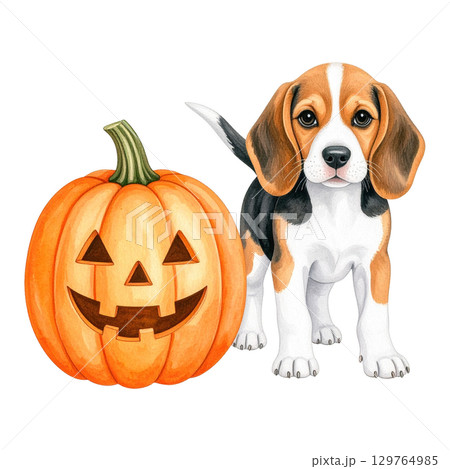 大きなカボチャとビーグルの子犬の水彩イラスト2／チラシやポスター用素材 129764985
