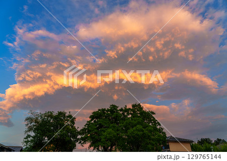 真夏の夕方住宅街の東の空に現れた黄金色の雲の帯を囲む夕焼け雲② 129765144