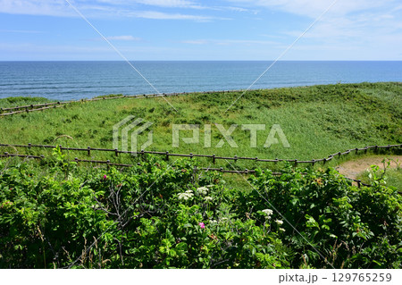 小清水原生花園 129765259