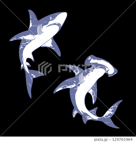 力強く泳ぐ鮫のイラスト, 力強く泳ぐ鮫のイラスト, 129765964