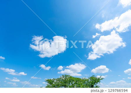 青空と雲と木立 129766594