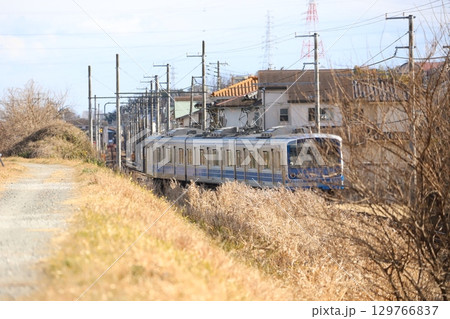 大雄山線沿いの道と電車 129766837