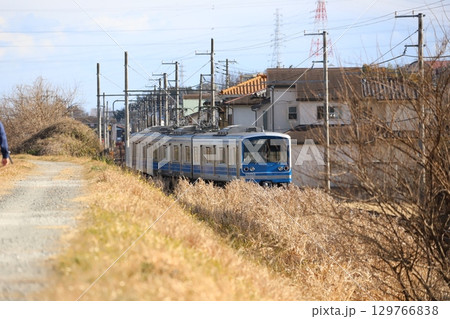 大雄山線沿いの道と電車 129766838
