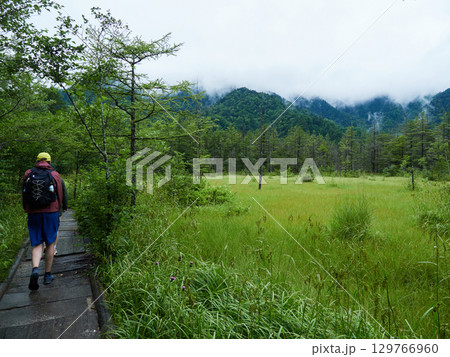 雨の日の上高地の田代湿原の風景と観光客の姿 雨の日の上高地の田代湿原の風景と観光客の姿 129766960