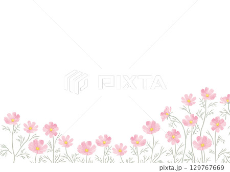 水彩風のピンク色のコスモスのフレーム（横長） 129767669
