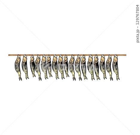 たくさん干された魚のイラスト 129767804