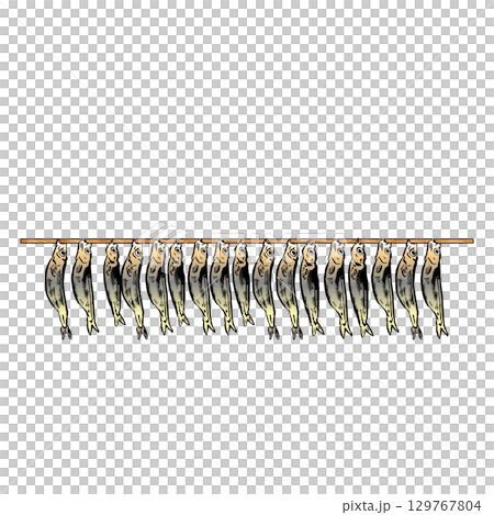 たくさん干された魚のイラスト 129767804