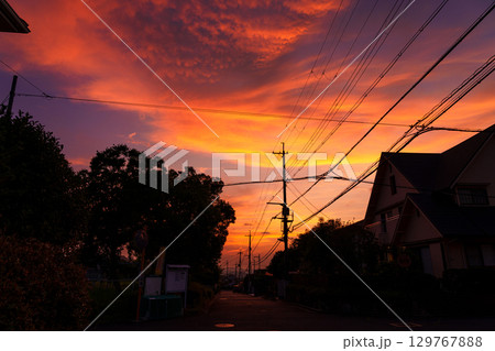 住宅街の夕焼け　紅色に染まった爆焼けの空　シルエットになった公園の街路樹と街灯① 129767888