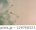 白い花 129768323
