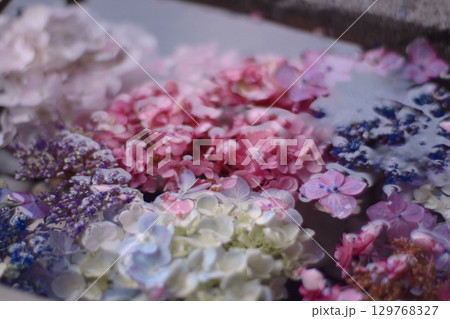水に浮かぶ紫陽花 129768327