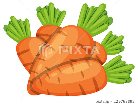Bunch of Fresh Carrots with Green Tops Illustration 129768893