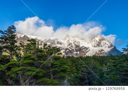 Hiking the W-Trek in Torres Del Paine Hiking the W-Trek in Torres Del Paine 129768958