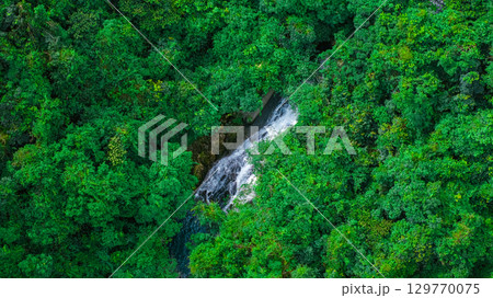 Aug 16 2025 Tai Tam Local Yield Catchment Area View 129770075