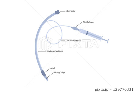 endotracheal intubation tube 129770331