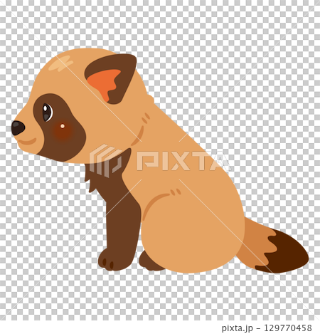 Sideways illustration of a sitting raccoon Sideways illustration of a sitting raccoon 129770458