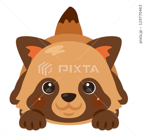 うつ伏せになったタヌキのイラスト うつ伏せになったタヌキのイラスト 129770463