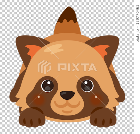 うつ伏せになったタヌキのイラスト うつ伏せになったタヌキのイラスト 129770463