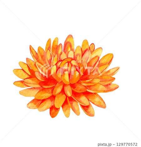 watercolor autumn illustrations with pumpkins and leaves 129770572