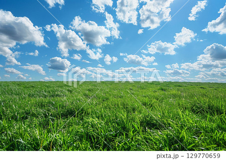 晴天の下の美しい草原と雲のイラスト素材 [129770659] - PIXTA